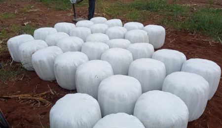 Baled Silage for sale in Nakuru