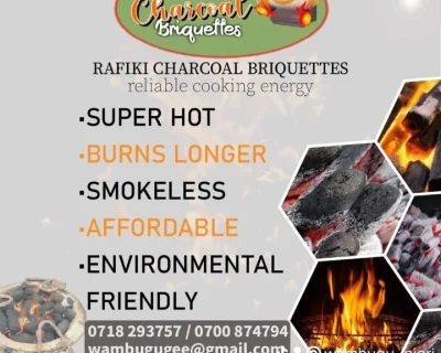 BBQ-Charcoal-Briquettes-for-Sale-in-Kenya