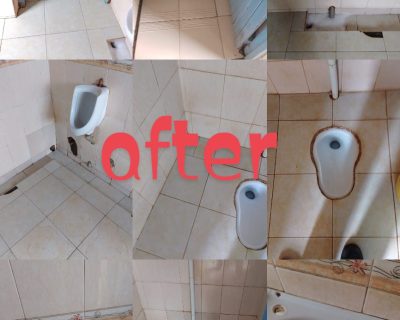 toilet-and-bathroom-cleaning-services-2
