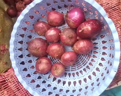 onions-for-sale-in-nakuru-2