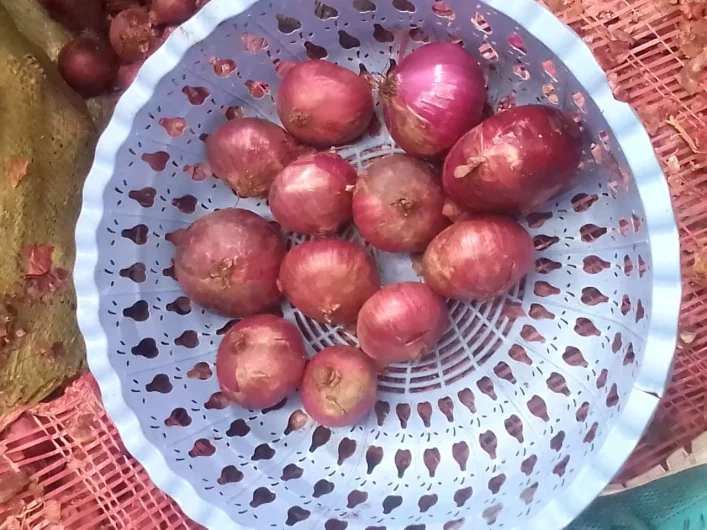 Onions for sale in Kenya