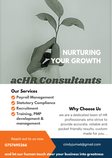 HR/Accounting Services in Nairobi